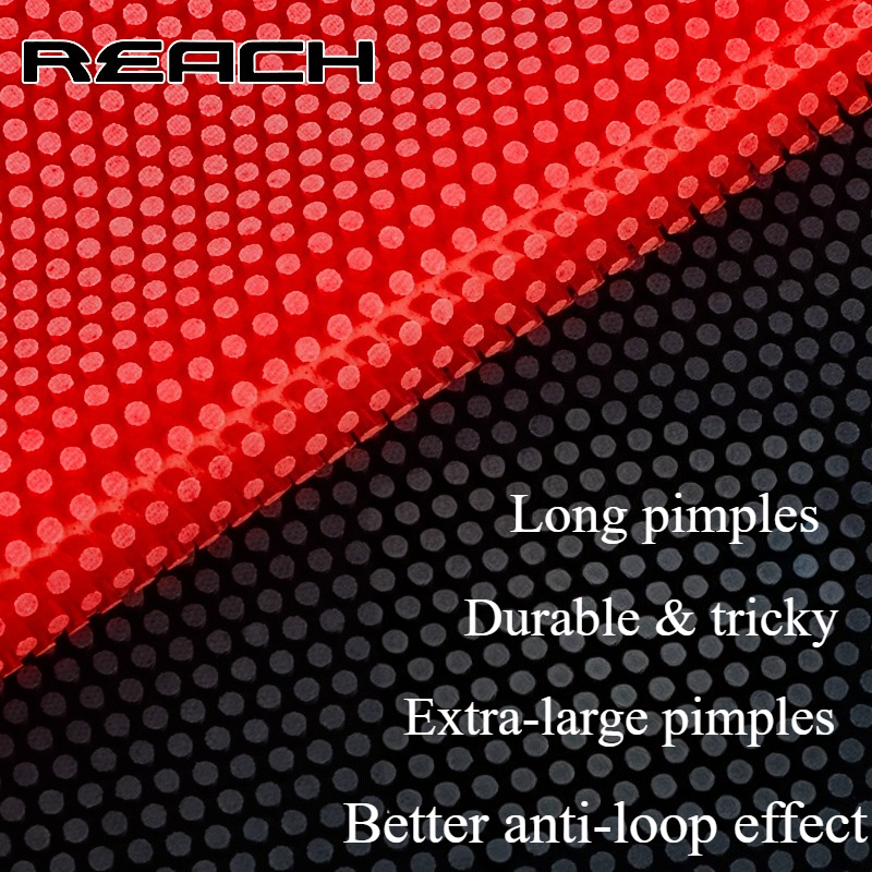 Reach C-8 C-801 Table-tennis R - Table Tennis For Sale incelemesi ve fiyatı
