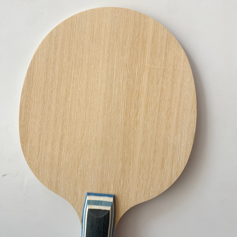 Lemuria VIS Carbon Fiber Table - Table Tennis Viscaria incelemesi ve fiyatı